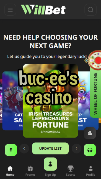 Buc-ee's Casino - Gas Station Casino Games-casinoorder.vip