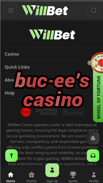 Buc-ee's Casino - Gas Station Casino Games-casinoorder.vip
