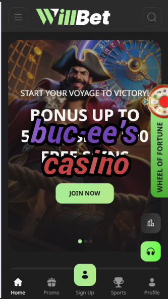 Buc-ee's Casino - Gas Station Casino Games-casinoorder.vip